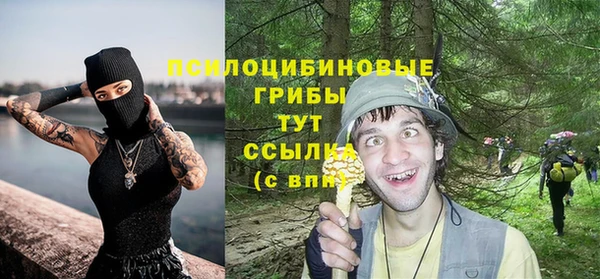 дмт Баксан