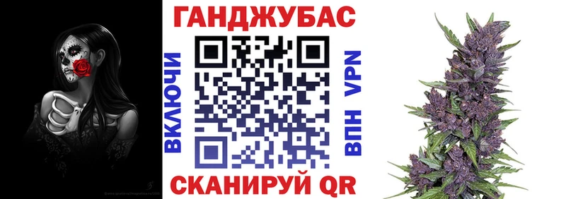 хочу наркоту  Волгореченск  mega ссылка  Марихуана сатива 